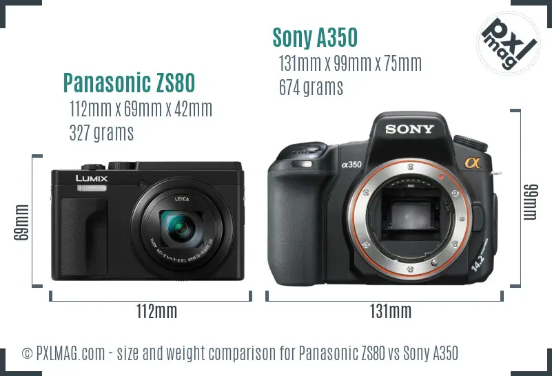 Panasonic ZS80 vs Sony A350 size comparison