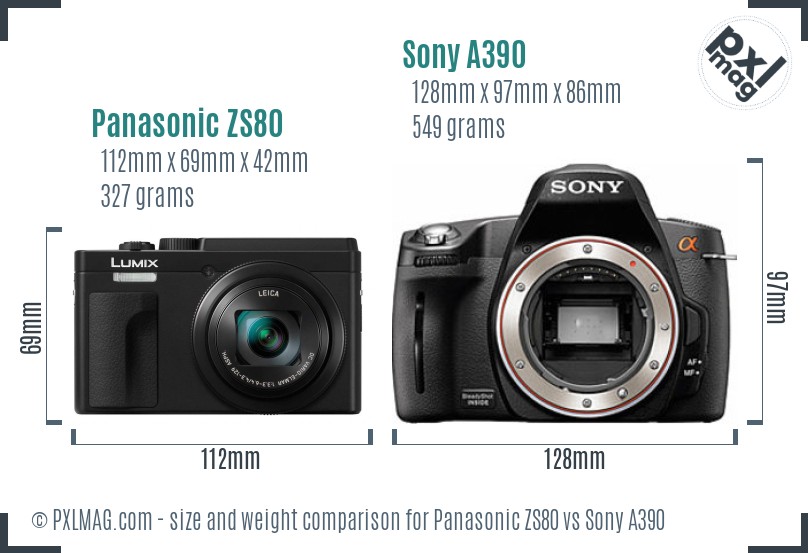 Panasonic ZS80 vs Sony A390 size comparison