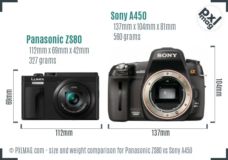 Panasonic ZS80 vs Sony A450 size comparison