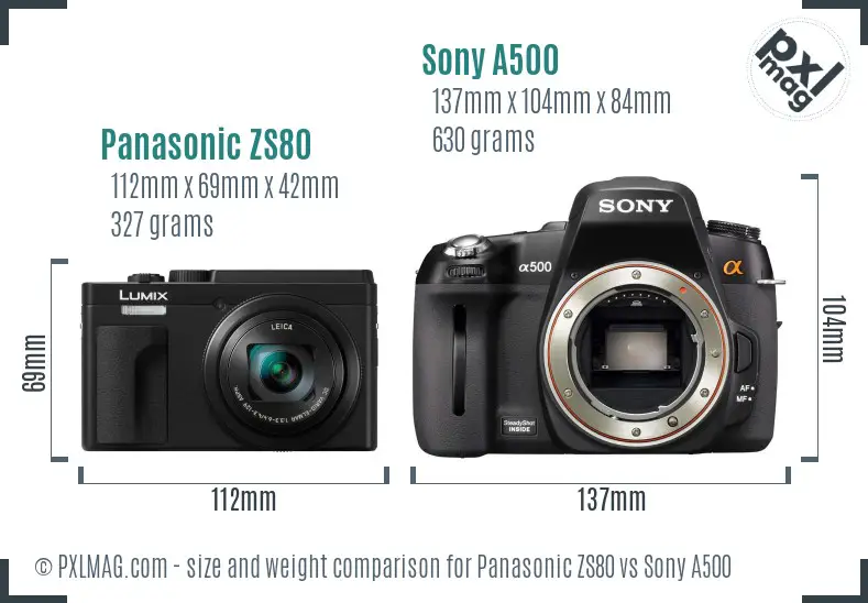 Panasonic ZS80 vs Sony A500 size comparison