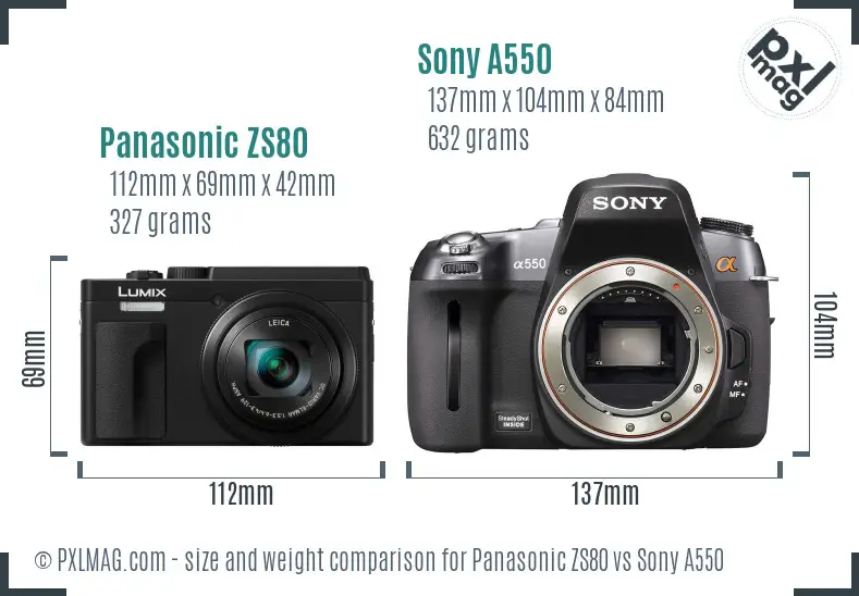 Panasonic ZS80 vs Sony A550 size comparison