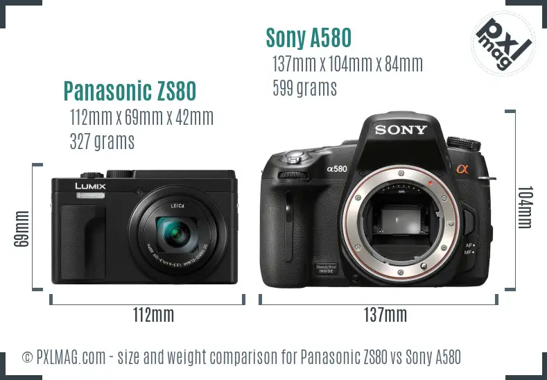 Panasonic ZS80 vs Sony A580 size comparison