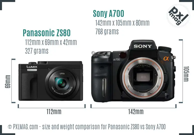 Panasonic ZS80 vs Sony A700 size comparison