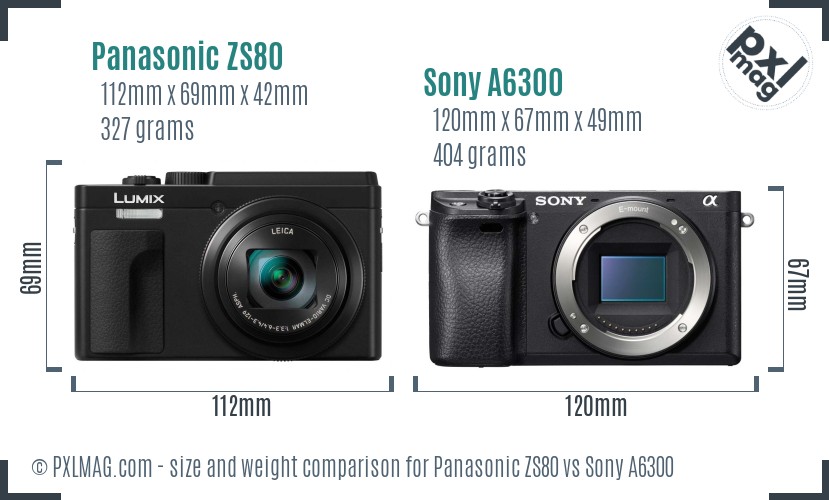 Panasonic ZS80 vs Sony A6300 size comparison