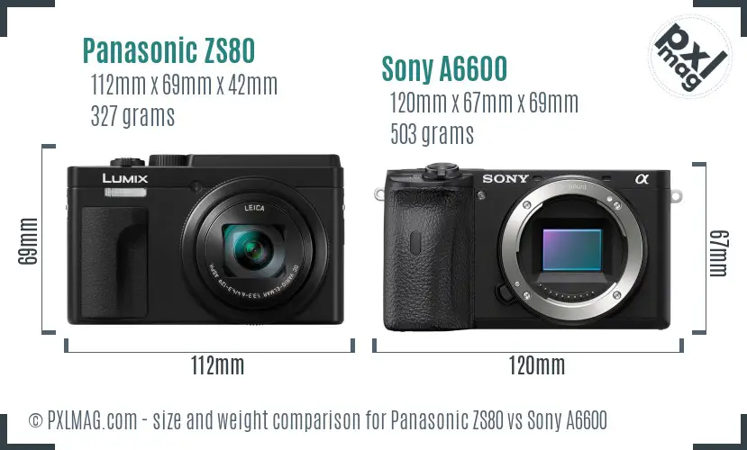 Panasonic ZS80 vs Sony A6600 size comparison