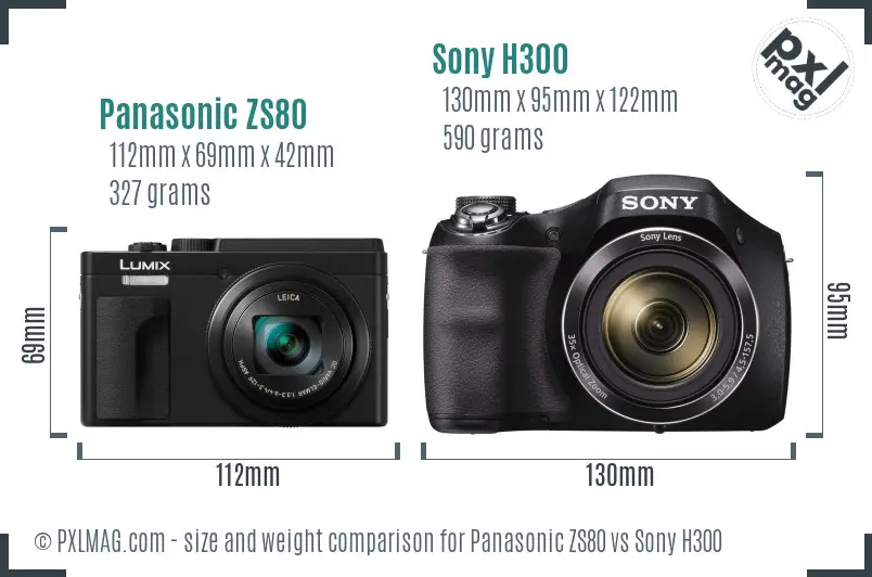Panasonic ZS80 vs Sony H300 size comparison