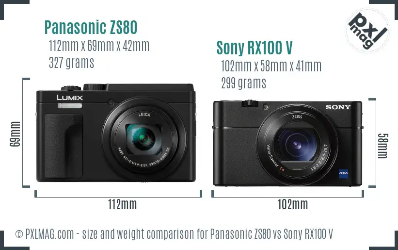 Panasonic ZS80 vs Sony RX100 V size comparison