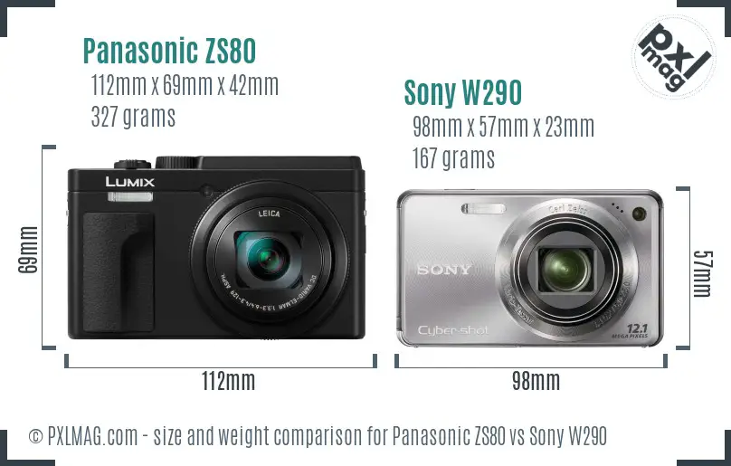 Panasonic ZS80 vs Sony W290 size comparison