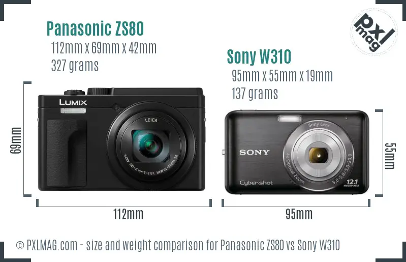 Panasonic ZS80 vs Sony W310 size comparison