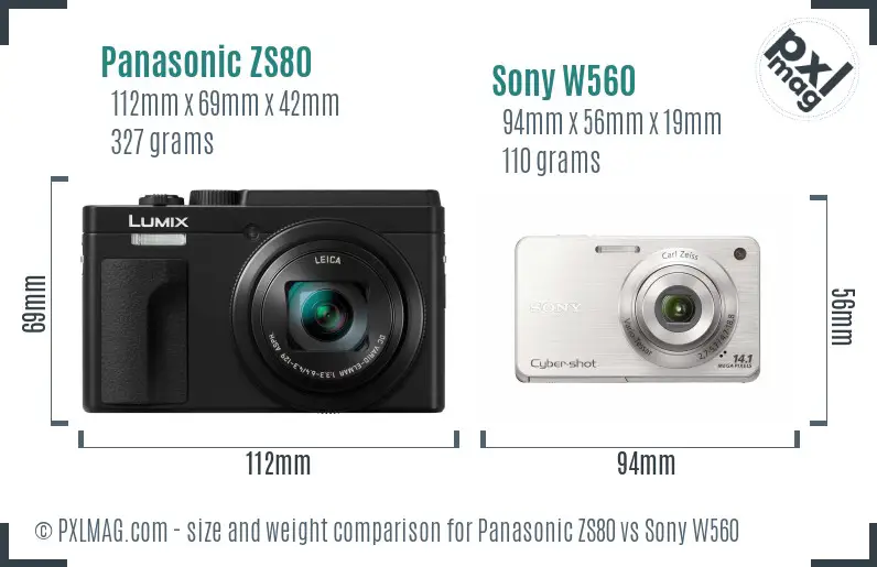 Panasonic ZS80 vs Sony W560 size comparison