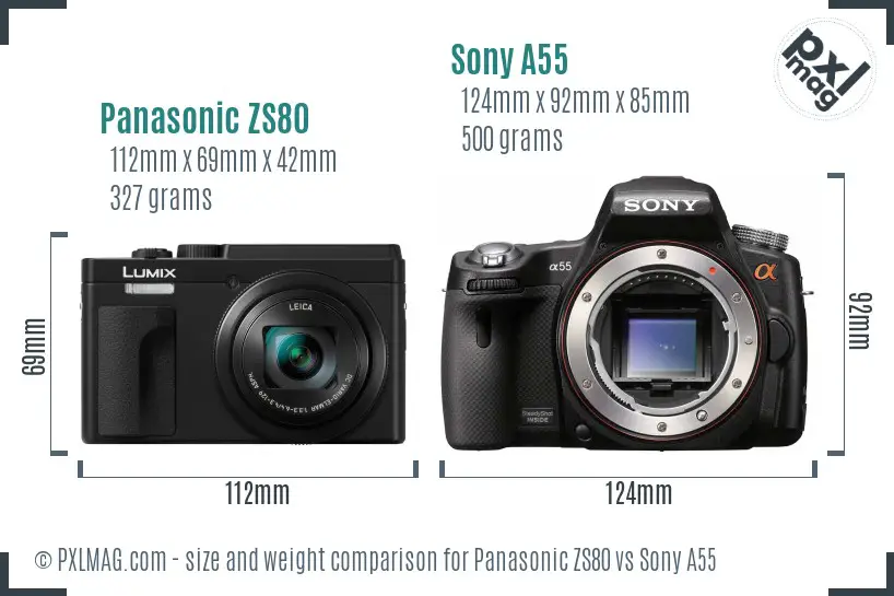Panasonic ZS80 vs Sony A55 size comparison