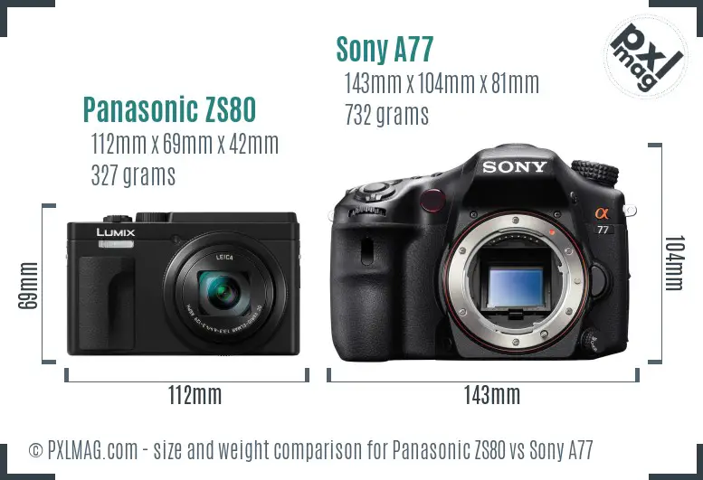 Panasonic ZS80 vs Sony A77 size comparison