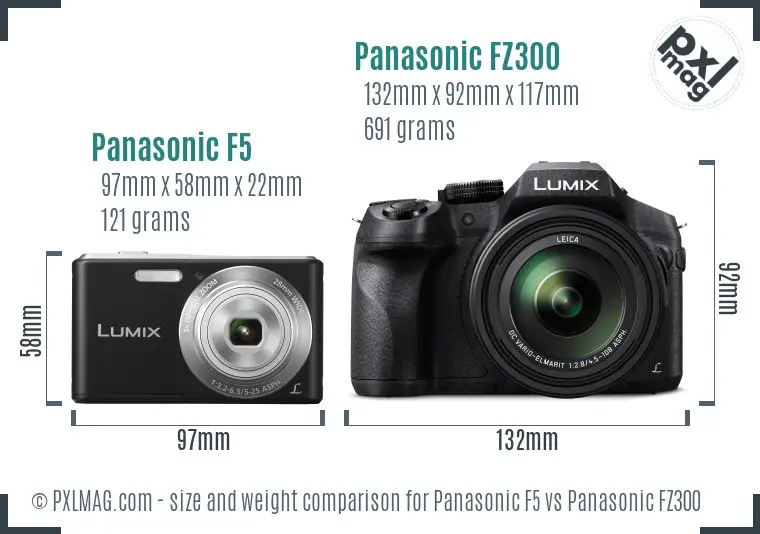 reactie Allerlei soorten kogel Panasonic F5 vs Panasonic FZ300 Full Comparison - PXLMAG.com