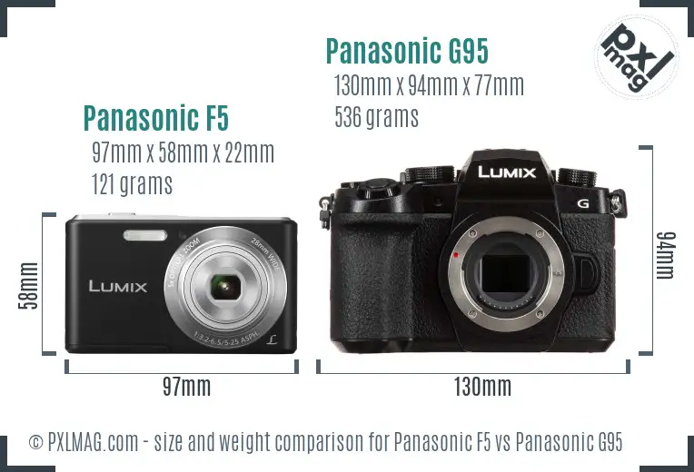 Panasonic F5 vs Panasonic G95 size comparison