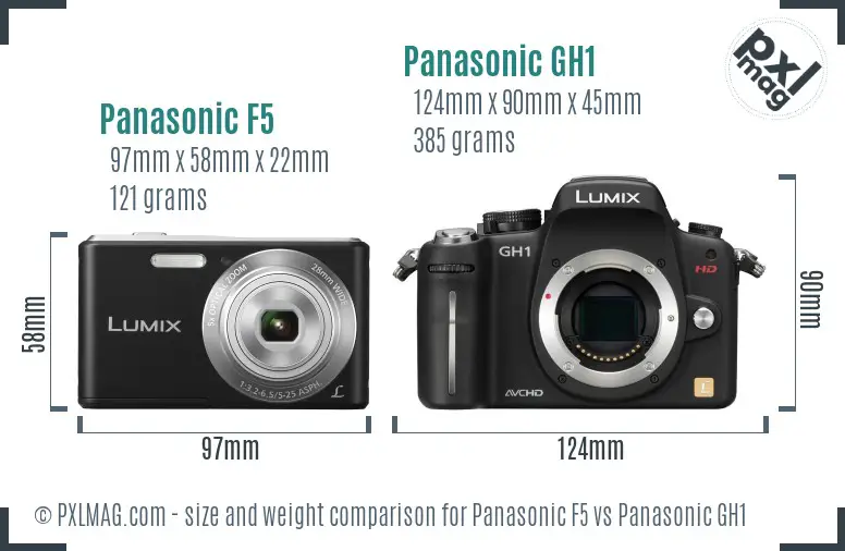 Panasonic F5 vs Panasonic GH1 size comparison