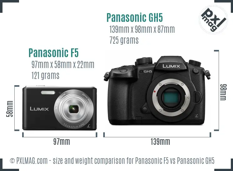 Panasonic F5 vs Panasonic GH5 size comparison Panasonic F5 vs Panasonic GH5 size comparison