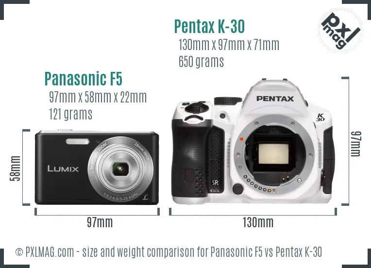Panasonic F5 vs Pentax K-30 size comparison