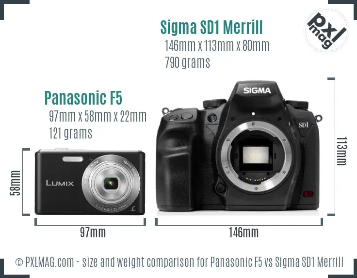 Panasonic F5 vs Sigma SD1 Merrill size comparison Panasonic F5 vs Sigma SD1 Merrill size comparison