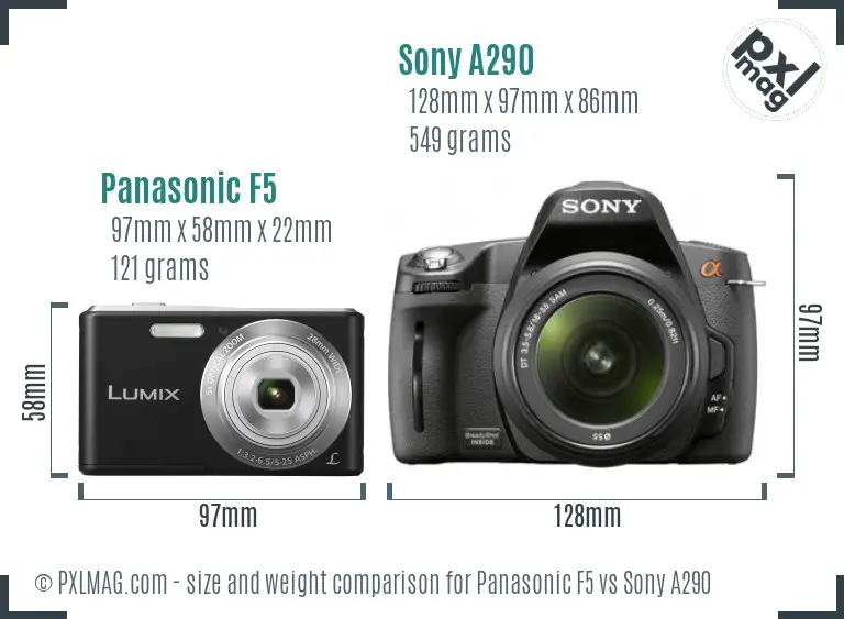 Panasonic F5 vs Sony A290 size comparison