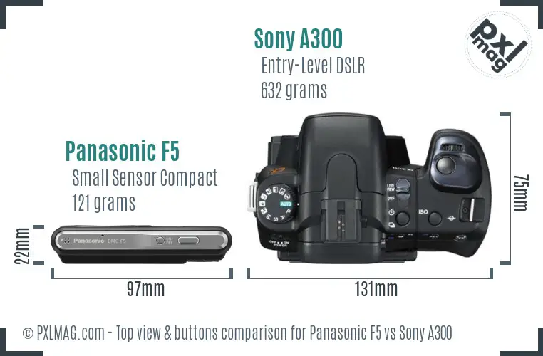 Panasonic F5 vs Sony A300 top view buttons comparison