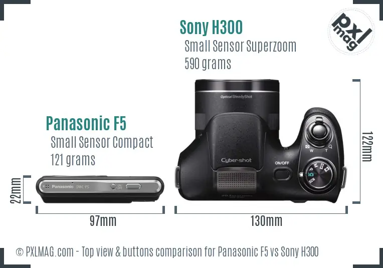 Panasonic F5 vs Sony H300 top view buttons comparison
