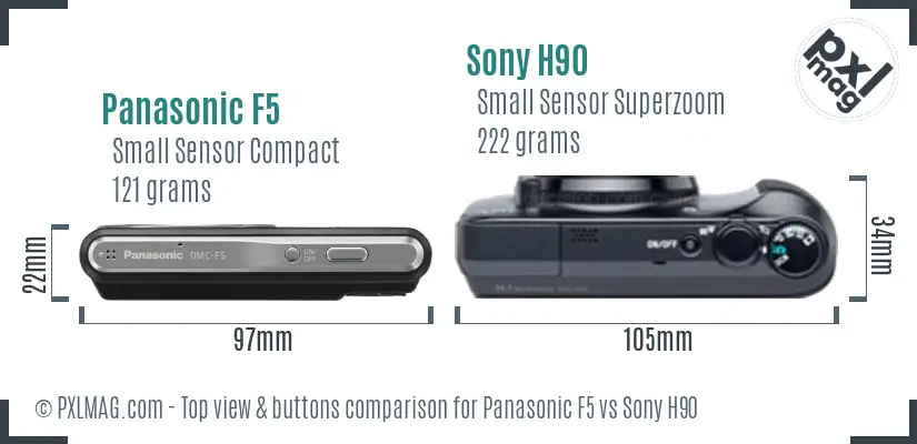Panasonic F5 vs Sony H90 top view buttons comparison