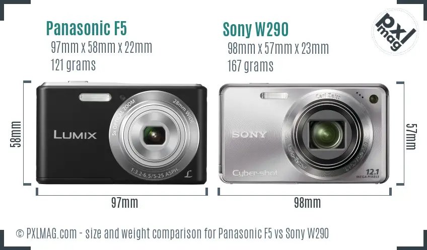 Panasonic F5 vs Sony W290 size comparison