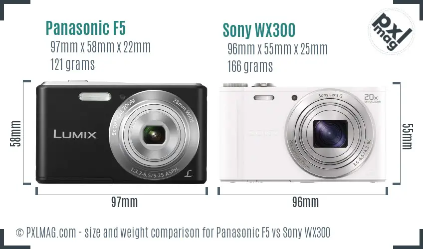 Panasonic F5 vs Sony WX300 size comparison