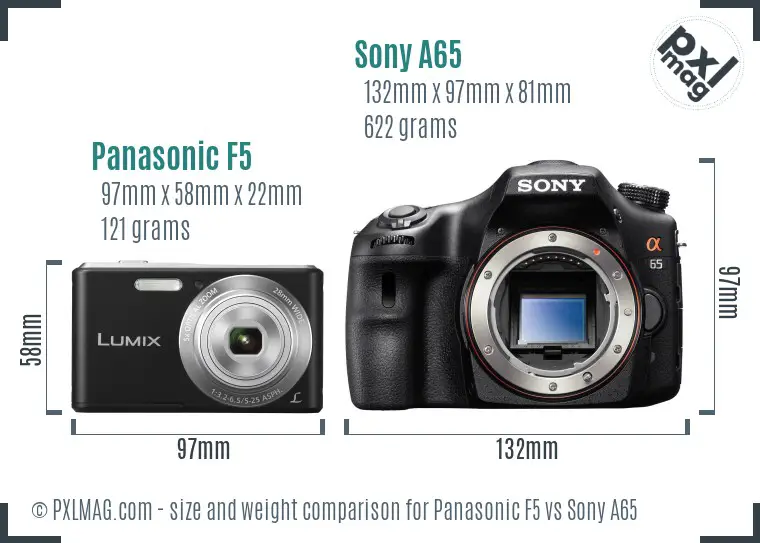 Panasonic F5 vs Sony A65 size comparison