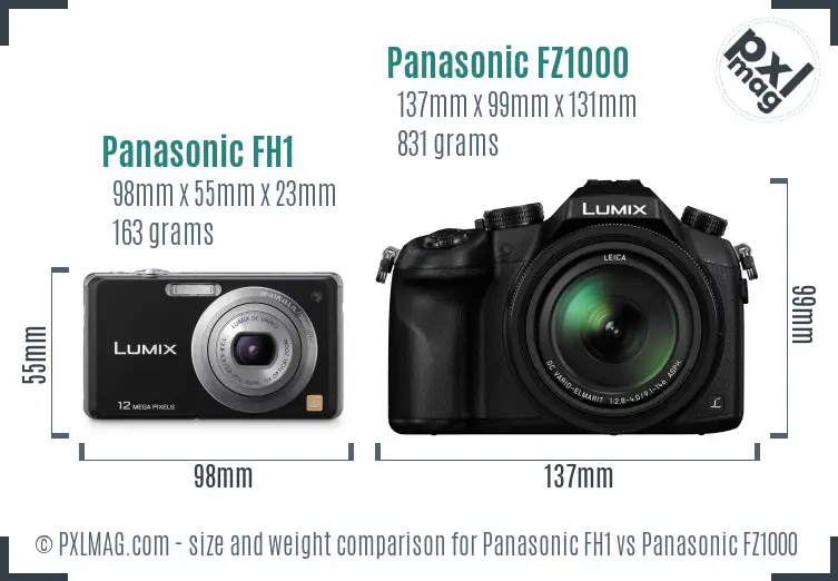 Panasonic FH1 vs Panasonic FZ1000 size comparison