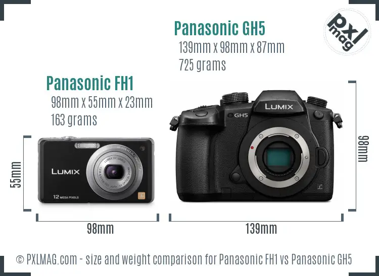 Panasonic FH1 vs Panasonic GH5 size comparison