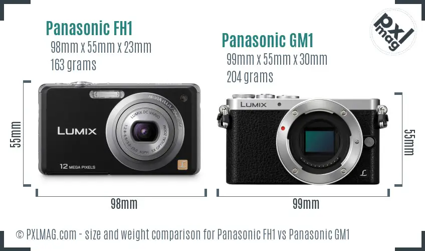 Panasonic FH1 vs Panasonic GM1 size comparison