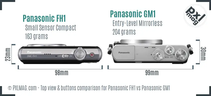 Panasonic FH1 vs Panasonic GM1 top view buttons comparison