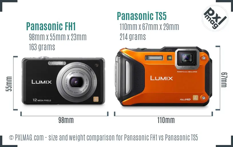 Panasonic FH1 vs Panasonic TS5 size comparison
