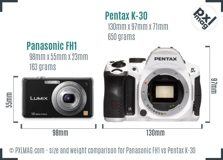 Panasonic FH1 vs Pentax K-30 size comparison