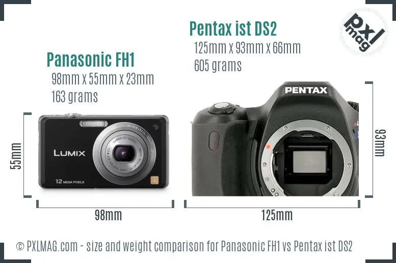 Panasonic FH1 vs Pentax ist DS2 size comparison