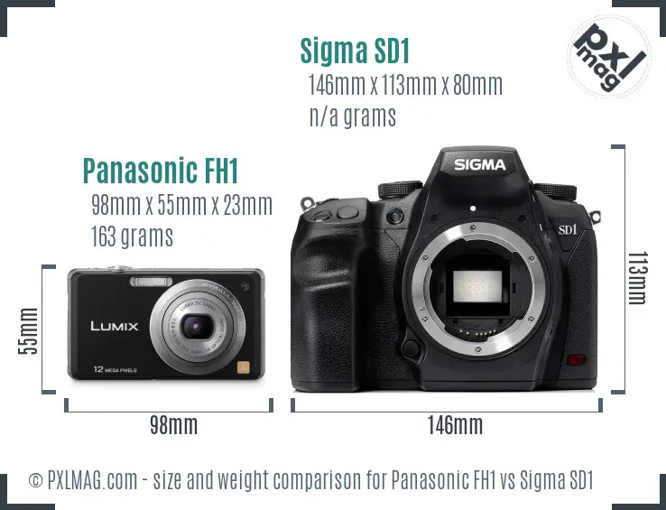 Panasonic FH1 vs Sigma SD1 size comparison