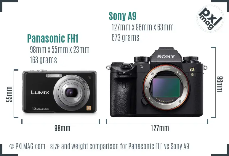 Panasonic FH1 vs Sony A9 size comparison