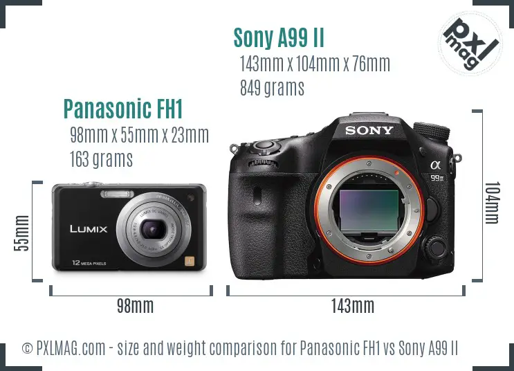 Panasonic FH1 vs Sony A99 II size comparison