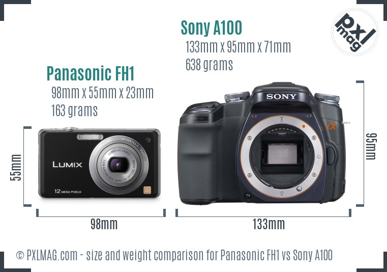 Panasonic FH1 vs Sony A100 size comparison