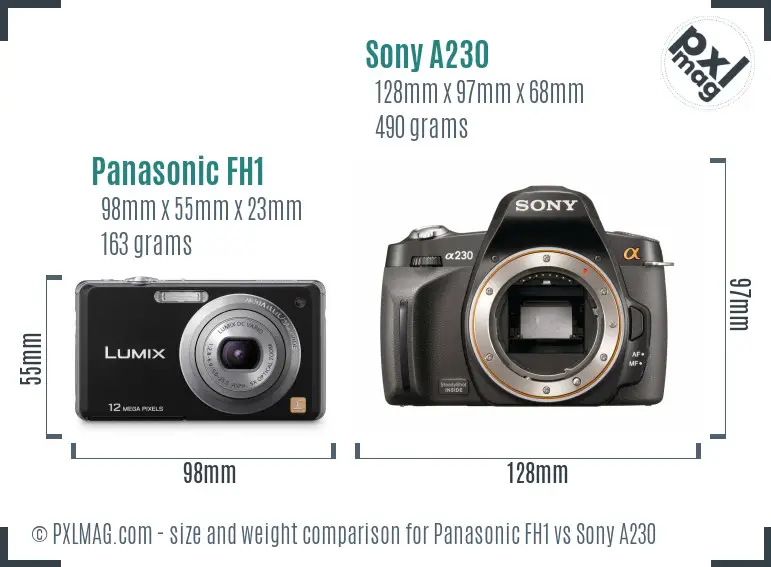 Panasonic FH1 vs Sony A230 size comparison