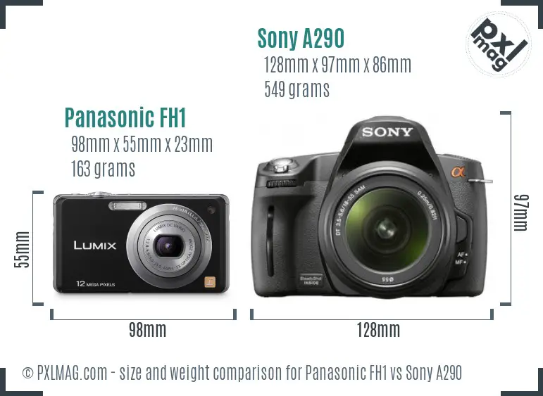 Panasonic FH1 vs Sony A290 size comparison