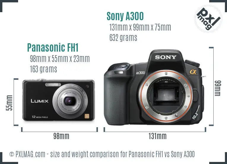 Panasonic FH1 vs Sony A300 size comparison