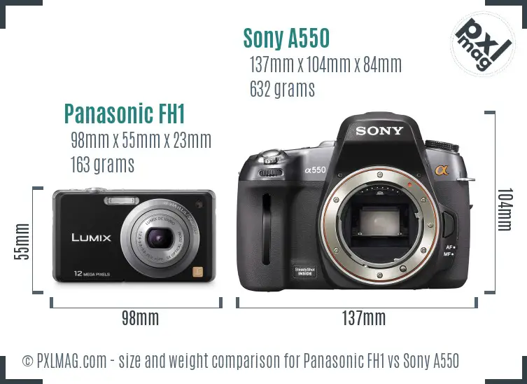Panasonic FH1 vs Sony A550 size comparison