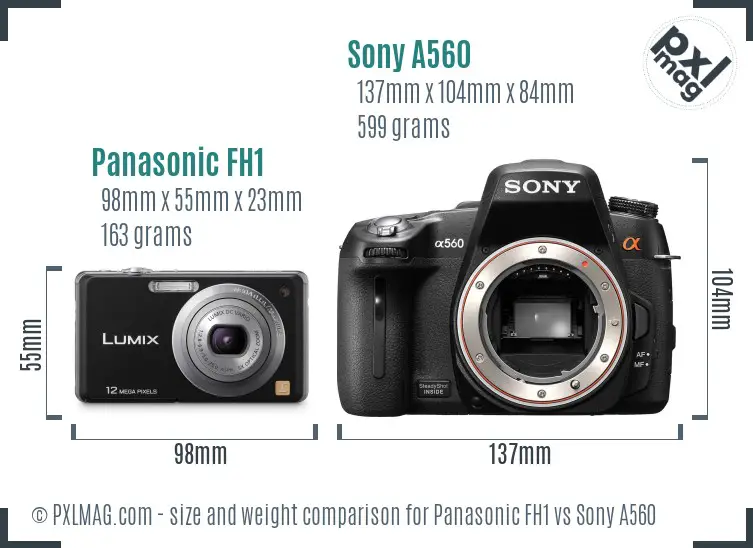 Panasonic FH1 vs Sony A560 size comparison