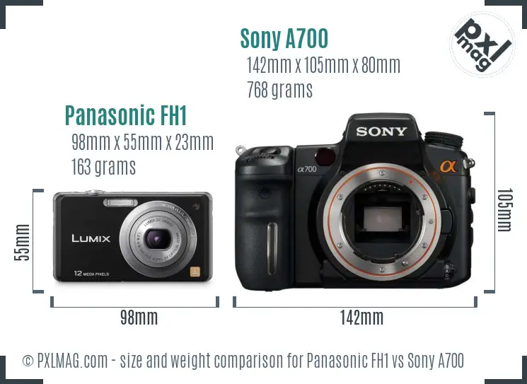 Panasonic FH1 vs Sony A700 size comparison