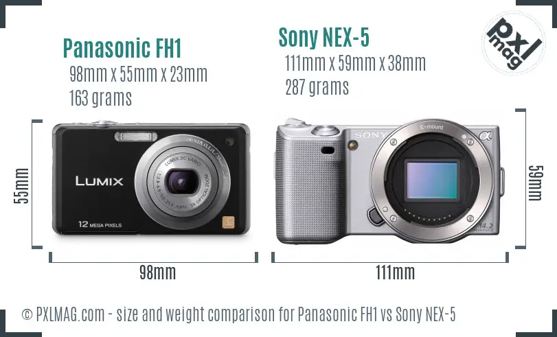 Panasonic FH1 vs Sony NEX-5 size comparison