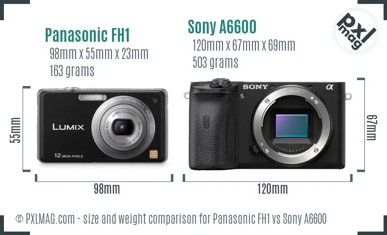 Panasonic FH1 vs Sony A6600 size comparison