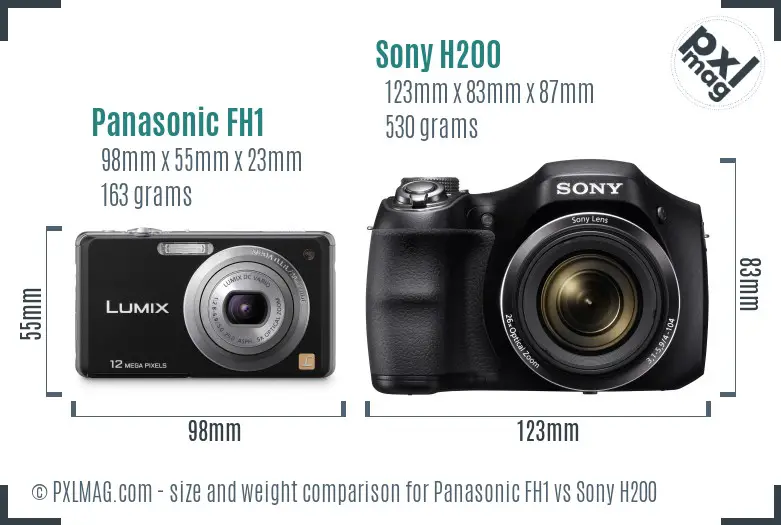 Panasonic FH1 vs Sony H200 size comparison