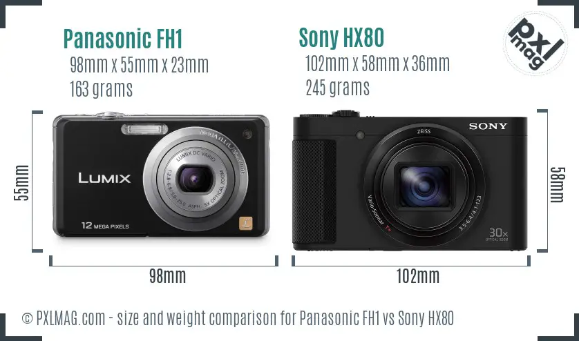 Panasonic FH1 vs Sony HX80 size comparison